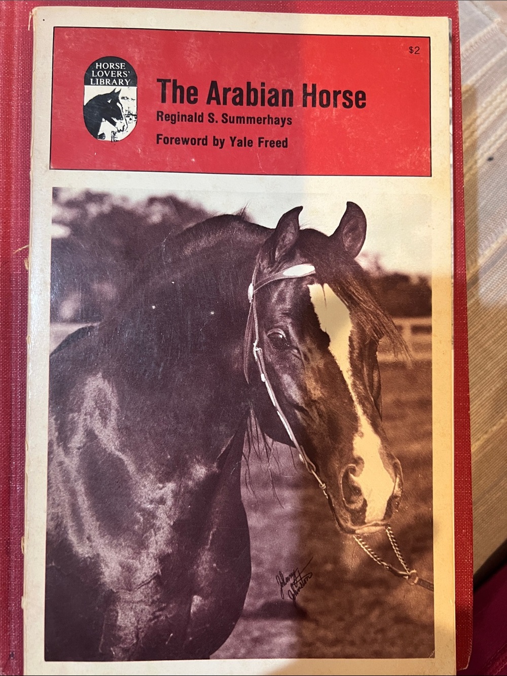 The Arabian Horse Vintage Horse Lovers' Paperback - Reginald S. Summerhays